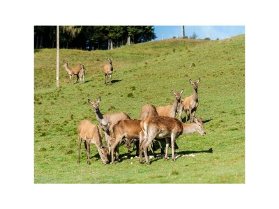 Apartment Appartement/Fewo, Kaiser - Outdoor photo 17