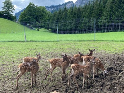 Apartment Appartement/Fewo, Kaiser - Outdoor photo 46