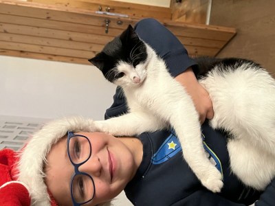 Apartment Appartement/Fewo, Kaiser - Outdoor photo 67