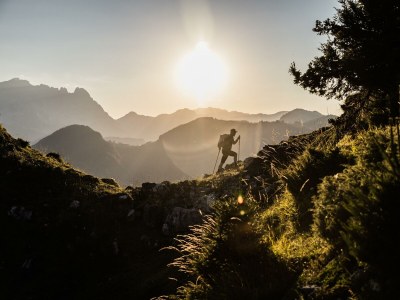 Apartment Chalet, Dusche und Bad, WC, gartenseitig - Outdoor photo 93
