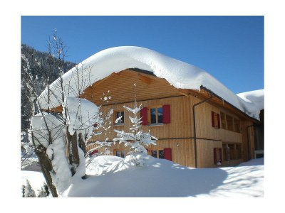 Apartment Ferienwohnung 60m² in Wald am Arlberg - Apartment