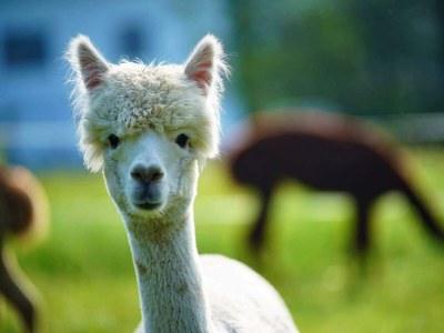 Apartment Ferienwohnung 60m² - Outdoor photo 33