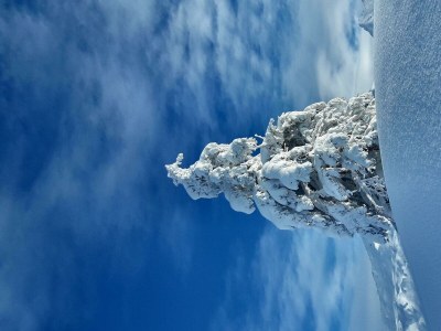 Apartment Ferienwohnung 60m² - Outdoor photo 42