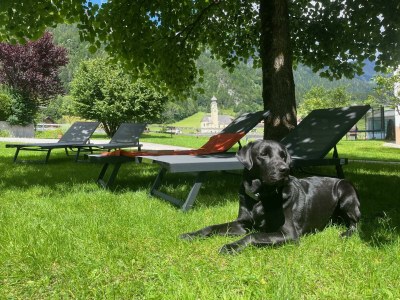 Apartment Ferienwohnung 60m² - Features photo 64