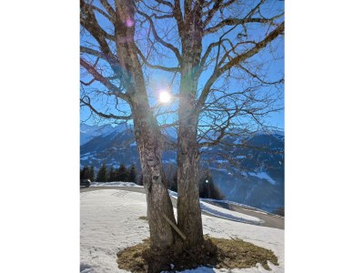 Apartment Top 2 - Features photo 41