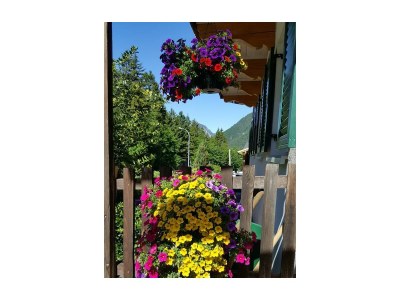 Apartment Top 2 - Features photo 44