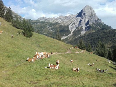 Apartment Appartement/Fewo, Dusche, WC, 1 Schlafraum - Outdoor photo 15
