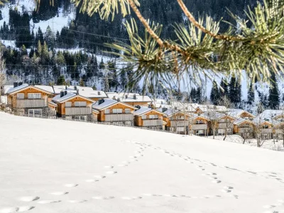 Apartment Chalet Burtschakopf - Outdoor photo 11