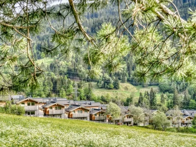 Apartment Chalet Burtschakopf - Outdoor photo 15