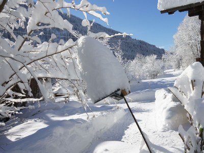 Apartment Ferienwohnung Älpele - Outdoor photo 12