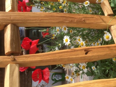 Apartment Ferienwohnung Älpele - Outdoor photo 17