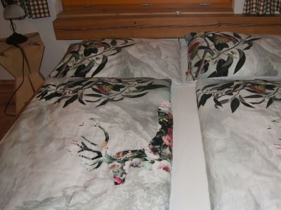 Apartment Ferienwohnung Älpele - Features photo 28