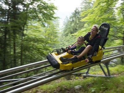 Holiday room Einzelzimmer  Roggelskopf - Outdoor photo 36