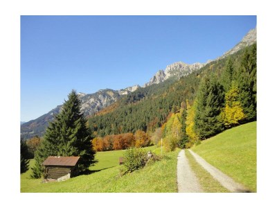 Holiday room Einzelzimmer  Roggelskopf - Outdoor photo 37