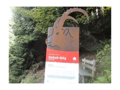 Holiday room Einzelzimmer  Roggelskopf - Outdoor photo 38