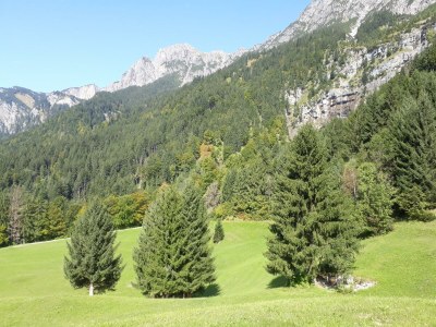 Holiday room Einzelzimmer  Roggelskopf - Outdoor photo 60