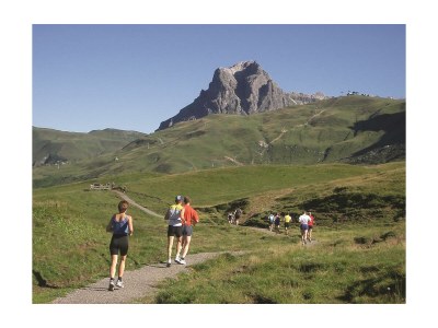 Holiday room Einzelzimmer  Roggelskopf - Outdoor photo 64