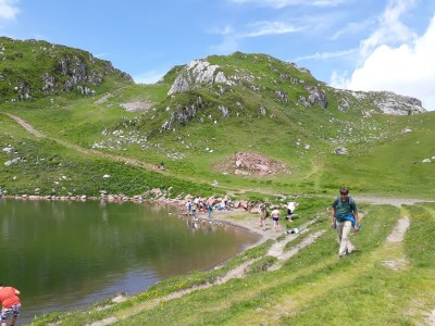 Holiday room Einzelzimmer  Roggelskopf - Outdoor photo 83