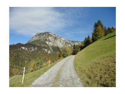 Holiday room Einzelzimmer  Roggelskopf - Outdoor photo 134