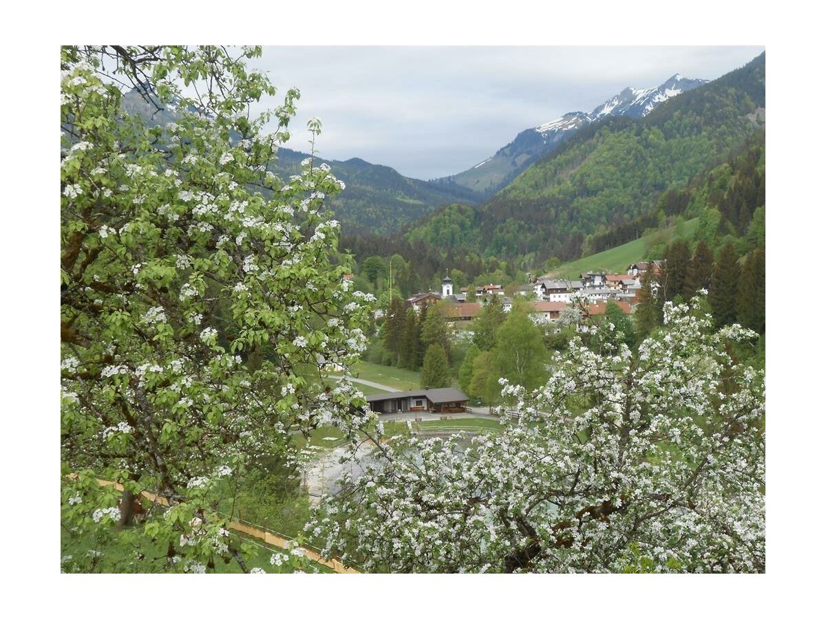Apartment Apartment/2 Schlafräume/Dusche, Bad, WC - Outdoor photo 3