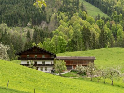Apartment Apartment/2 Schlafräume/Dusche, Bad, WC in Thiersee - Apartment