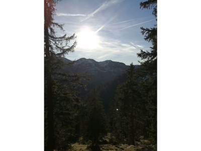 Apartment Apartment/2 Schlafräume/Dusche, Bad, WC - Outdoor photo 15