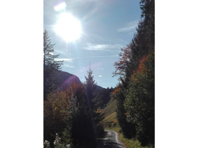 Apartment Apartment/2 Schlafräume/Dusche, Bad, WC - Outdoor photo 25