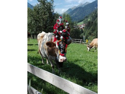 Apartment Apartment/2 Schlafräume/Dusche, Bad, WC - Outdoor photo 29