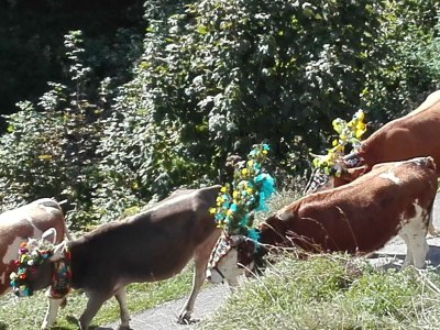Apartment Apartment/2 Schlafräume/Dusche, Bad, WC - Outdoor photo 31