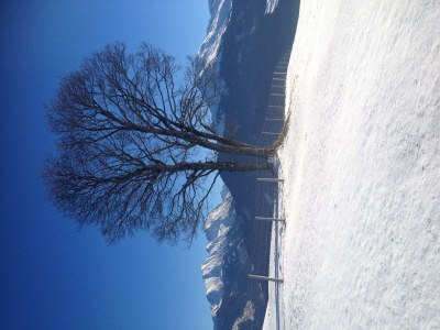 Apartment Appartement Hartl - Outdoor photo 8