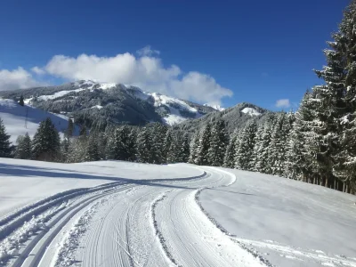 Apartment Appartement Hartl - Outdoor photo 13