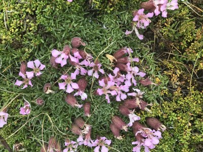 Apartment Appartement Hartl - Outdoor photo 15