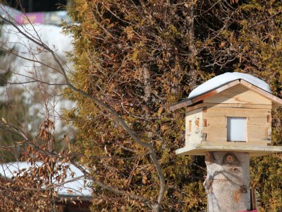 Apartment Appartement Hartl - Outdoor photo 17