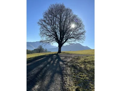 Apartment Appartement Hartl - Outdoor photo 24