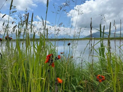 Apartment Appartement Hartl - Outdoor photo 33