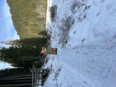 Apartment Appartement Hartl - Outdoor photo 35