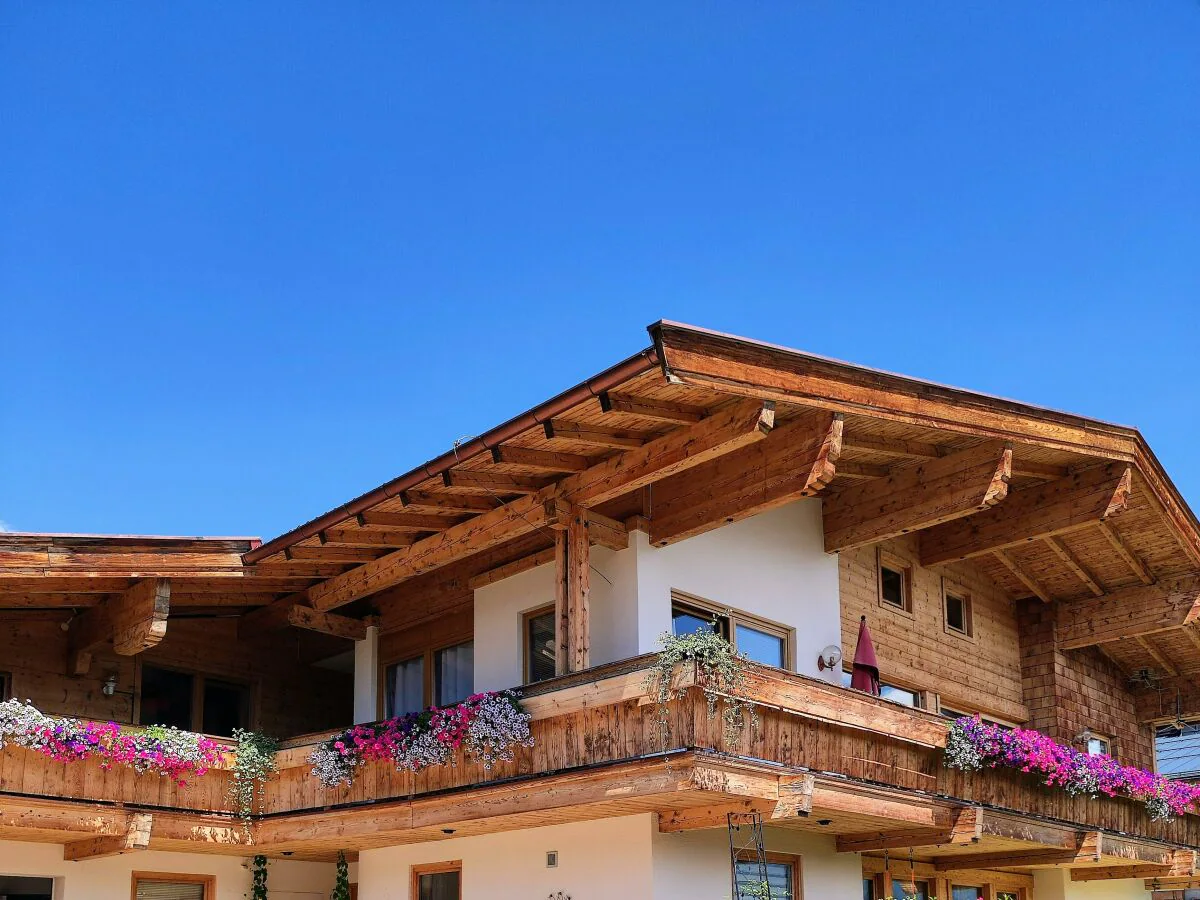 Apartment Appartement/Fewo, Bad, WC, gartenseitig