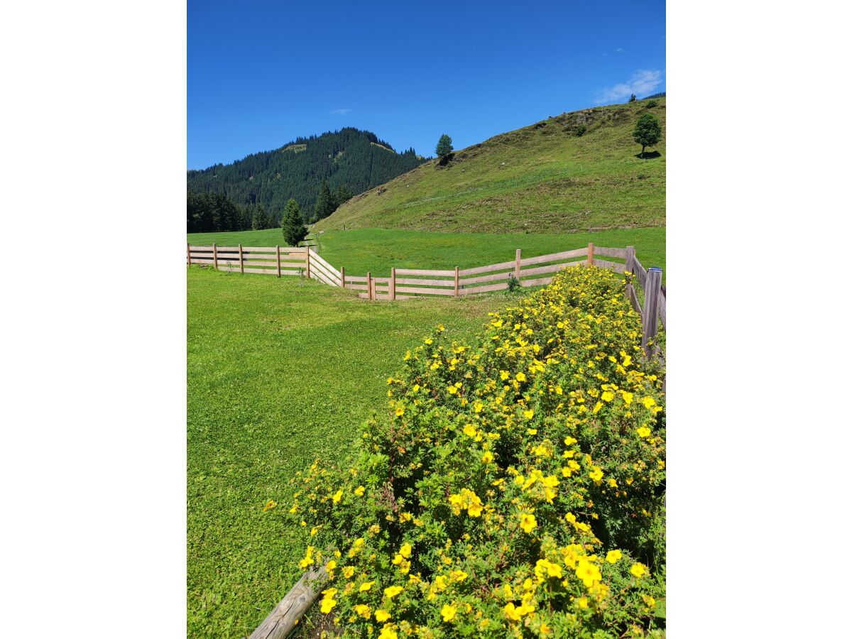 Apartment Appartement/Fewo, Bad, WC, gartenseitig - Outdoor photo 2