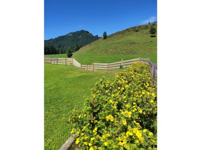 Apartment Appartement/Fewo, Bad, WC, gartenseitig - Outdoor photo 2