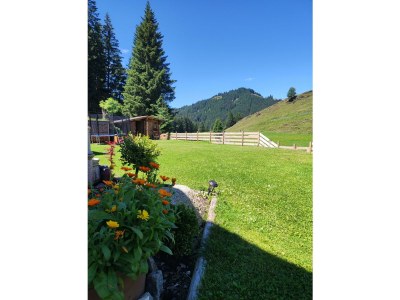 Apartment Appartement/Fewo, Bad, WC, gartenseitig - Outdoor photo 9