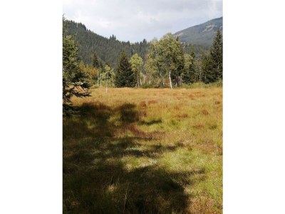 Apartment Appartement/Fewo, Bad, WC, gartenseitig - Outdoor photo 11