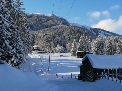 Apartment Appartement/Fewo, Bad, WC, gartenseitig - Outdoor photo 19