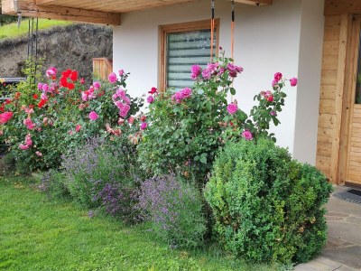 Apartment Appartement/Fewo, Bad, WC, gartenseitig - Features photo 29