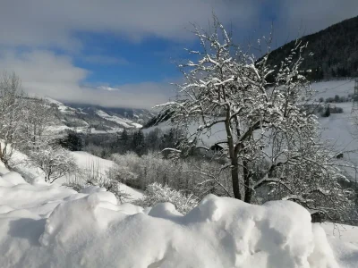 Apartment Ferienwohnung Pihapper - Outdoor photo 13