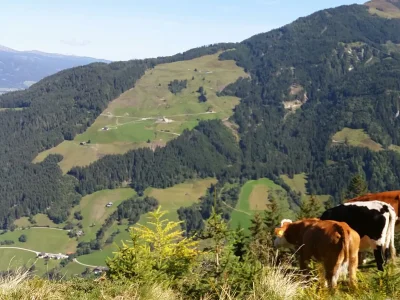 Apartment Ferienwohnung Pihapper - Outdoor photo 16