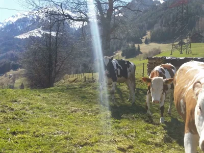 Apartment Ferienwohnung Pihapper - Outdoor photo 18