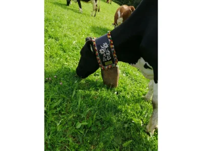 Apartment Ferienwohnung Pihapper - Outdoor photo 19