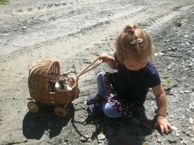 Apartment Ferienwohnung Pihapper - Outdoor photo 22