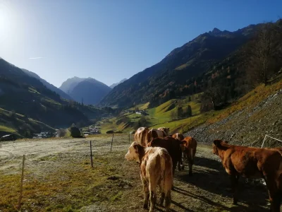 Apartment Ferienwohnung Pihapper - Outdoor photo 30