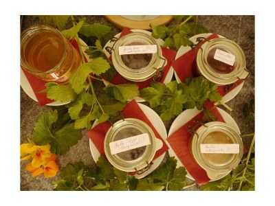 Holiday room Komfortzimmer Granat 20 m² - Outdoor photo 8